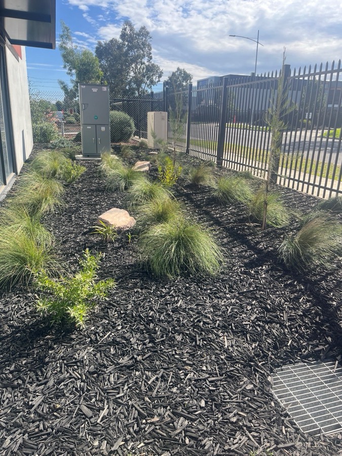Native garden bed establishment