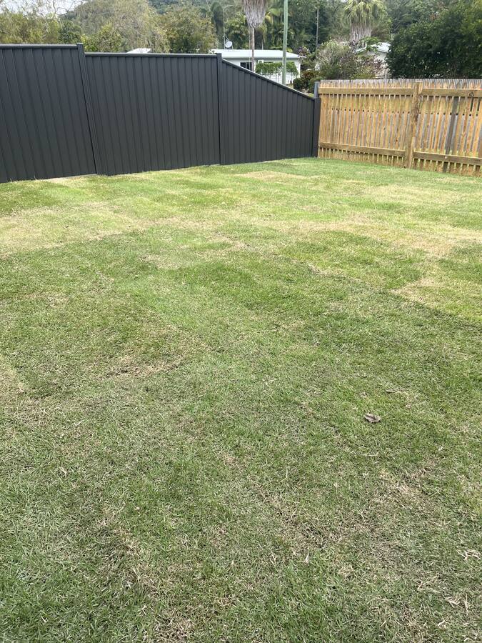 Front yard levelled, irrigated & turfed